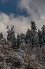 WS94 is a photograph by T.M. Schultze taken 2021 at , Utah