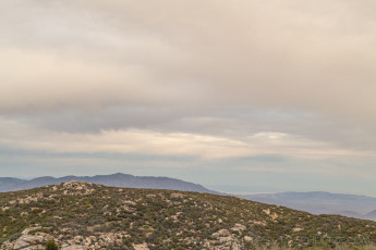 LM224 is a photograph by T.M. Schultze taken 2022 at Laguna Mountains, California