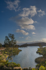 MTRP190 is a photograph by T.M. Schultze taken 2022 at La Mesa, California