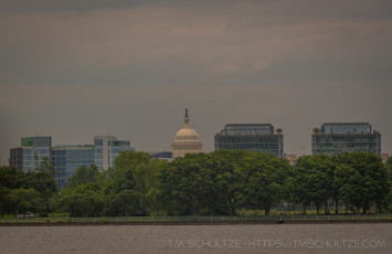 ALG24 is a photograph by T.M. Schultze taken 2023 at Arlington, Virginia