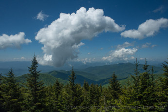 GSMNP24 is a photograph by T.M. Schultze taken 2023 at Great Smoky Mountains National Park, North Carolina