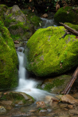CBA239 is a photograph by T.M. Schultze taken 2024 at Castle Rock State Park, California