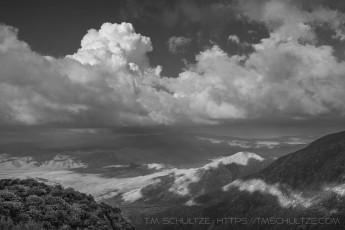 LM950 is a photograph by T.M. Schultze taken 2025 at Laguna Mountains, California
