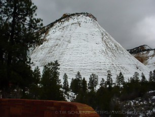 ZNP1 is a photograph by T.M. Schultze taken 2004 at Zion National Park, Utah