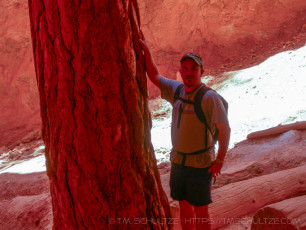 is a photograph by T.M. Schultze taken at Bryce Canyon National Park, Utah