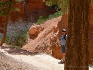 is a photograph by T.M. Schultze taken at Bryce Canyon National Park, Utah