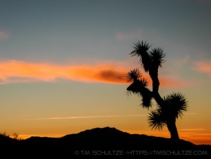 Shadowscape is a photograph by T.M. Schultze taken at Joshua Tree National Park, California