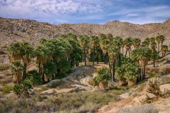 ABD1 is a photograph by T.M. Schultze taken at , California