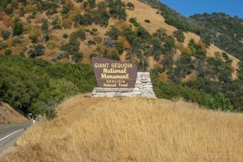 GSNM1 is a photograph by T.M. Schultze taken at Giant Sequoia National Monument, California