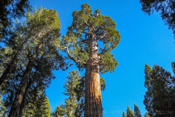 KC2 is a photograph by T.M. Schultze taken at Kings Canyon National Park, California