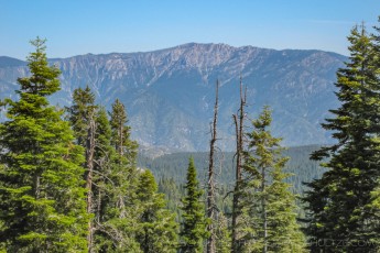SNP2 is a photograph by T.M. Schultze taken at Sequoia National Park, California