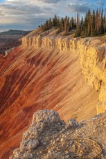 CBBM7 is a photograph by T.M. Schultze taken at Cedar Breaks National Monument, Utah