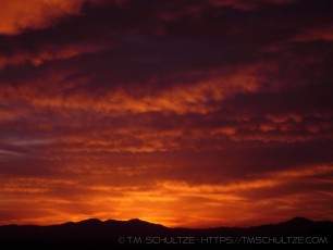 JT4 is a photograph by T.M. Schultze taken 2007 at Joshua Tree National Park, California