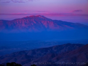 JT5 is a photograph by T.M. Schultze taken 2007 at Joshua Tree National Park, California