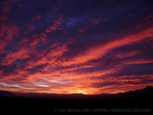 JT3 is a photograph by T.M. Schultze taken 2007 at Joshua Tree National Park, California