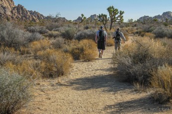 JT4 is a photograph by T.M. Schultze taken 2007 at Joshua Tree National Park, California