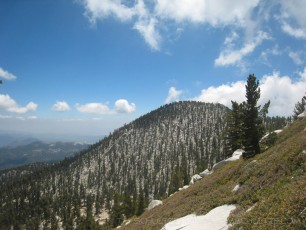 SJP10 is a photograph by T.M. Schultze taken 2008 at , California