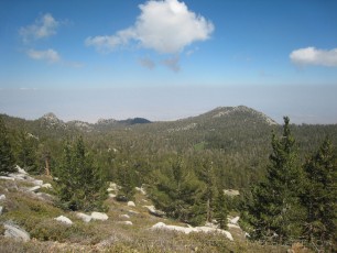 SJP18 is a photograph by T.M. Schultze taken 2008 at , California