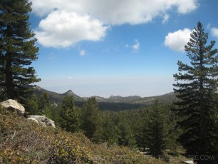 SJP5 is a photograph by T.M. Schultze taken 2008 at , California