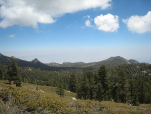 SJP6 is a photograph by T.M. Schultze taken 2008 at , California
