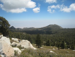 SJP7 is a photograph by T.M. Schultze taken 2008 at , California