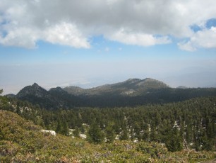 SJP8 is a photograph by T.M. Schultze taken 2008 at , California