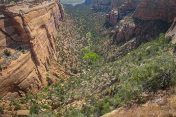 CNM9 is a photograph by T.M. Schultze taken 2008 at Colorado National Monument, Colorado