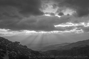 JT11 is a photograph by T.M. Schultze taken 2022 at Joshua Tree National Park, California