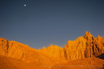 WHT4 is a photograph by T.M. Schultze taken 2008 at Inyo National Forest, California