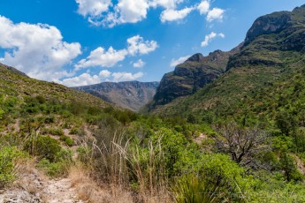 Quiet McKittrick is a photograph by T.M. Schultze taken at Guadalupe Mountains National Park, Texas