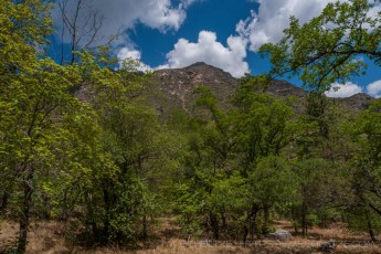 GMNP9 is a photograph by T.M. Schultze taken at Guadalupe Mountains National Park, Texas