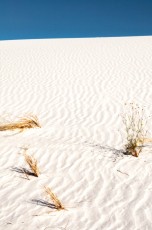 WSNP3 is a photograph by T.M. Schultze taken at White Sands National Monument, New Mexico