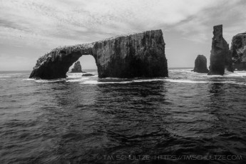 CINP2 is a photograph by T.M. Schultze taken at Channel Islands National Park, California