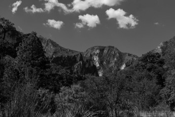 GMNP3 is a photograph by T.M. Schultze taken 2009 at Guadalupe Mountains National Park, Texas