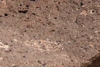 is a photograph by T.M. Schultze taken at Bishop, California