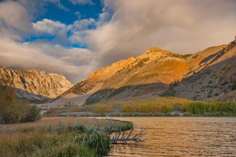 INF22 is a photograph by T.M. Schultze taken 2009 at Inyo National Forest, California