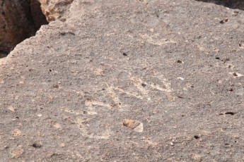 is a photograph by T.M. Schultze taken at Bishop, California
