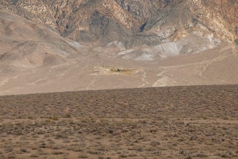 is a photograph by T.M. Schultze taken at Bishop, California