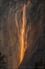 YNP4 is a photograph by T.M. Schultze taken 2009 at Yosemite National Park, California