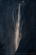 YNP12 is a photograph by T.M. Schultze taken 2009 at Yosemite National Park, California