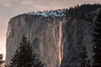 YNP13 is a photograph by T.M. Schultze taken 2009 at Yosemite National Park, California