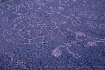 is a photograph by T.M. Schultze taken at Bishop, California