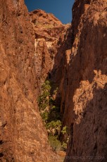 Palm Canyon Hideaway is a photograph by T.M. Schultze taken at ,