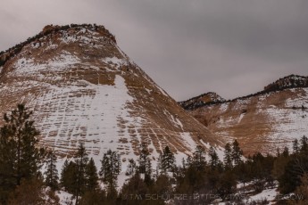 Snow Returns to Checkerboard Mesa is a photograph by T.M. Schultze taken at Zion National Park, Utah