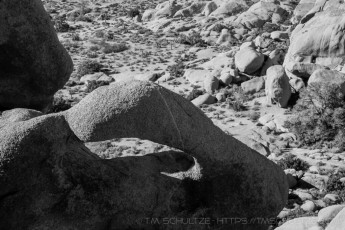 JT31 is a photograph by T.M. Schultze taken 2010 at Joshua Tree National Park, California