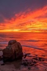 SC1 is a photograph by T.M. Schultze taken 2010 at San Diego, California