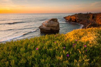 SC2 is a photograph by T.M. Schultze taken 2011 at San Diego, California