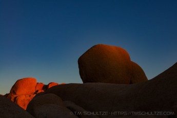 is a photograph by T.M. Schultze taken at Joshua Tree National Park, California
