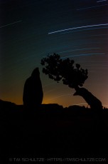 JT27 is a photograph by T.M. Schultze taken 2011 at Joshua Tree National Park, California