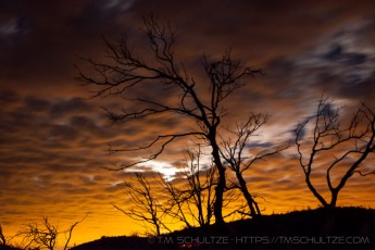 is a photograph by T.M. Schultze taken at ,